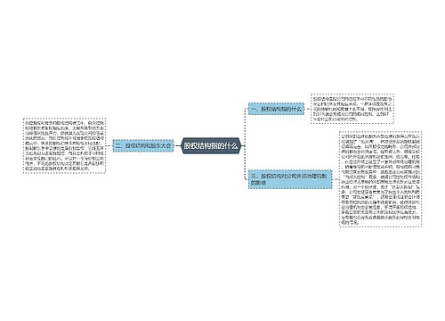 股权结构指的什么