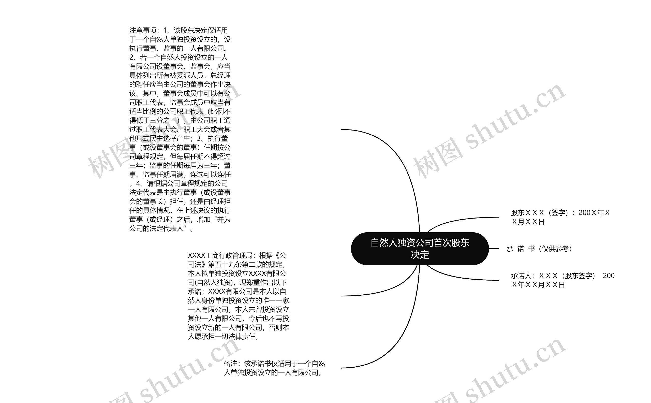 自然人独资公司首次股东决定