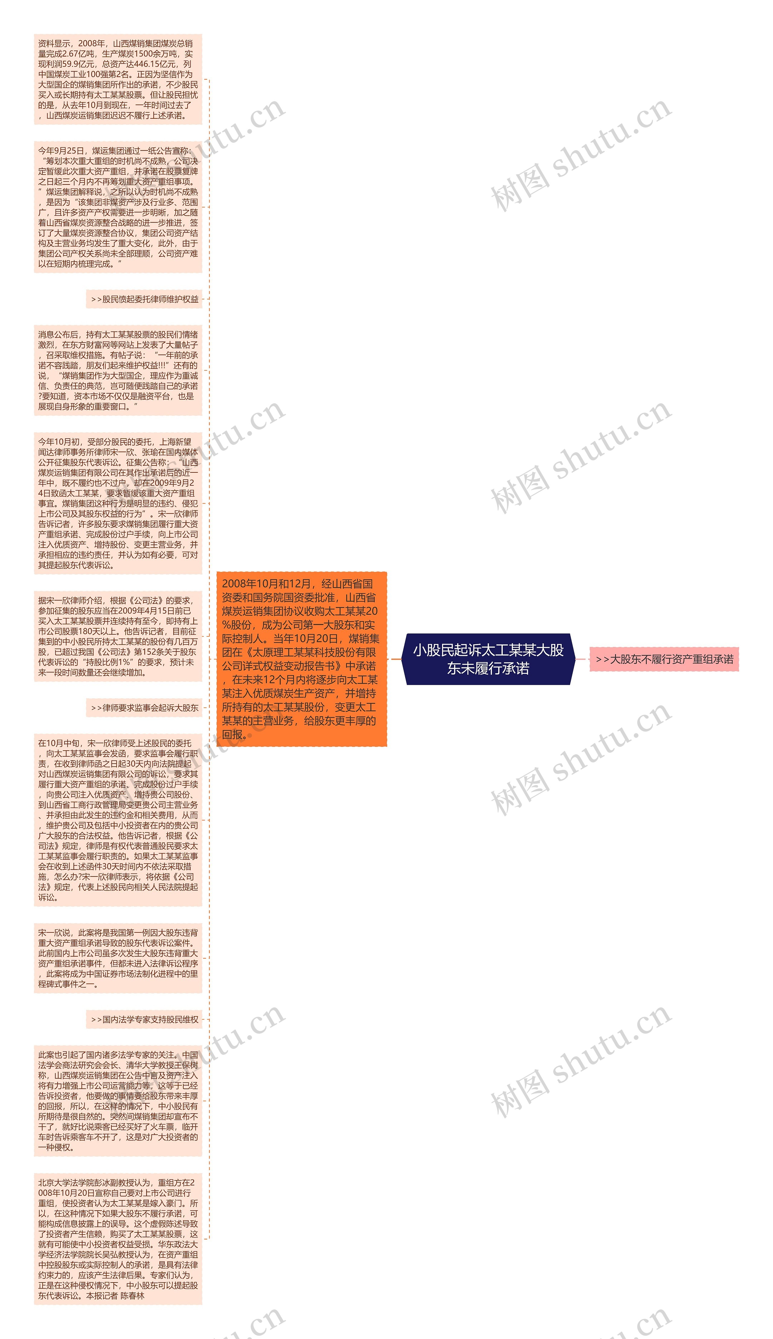 小股民起诉太工某某大股东未履行承诺思维导图