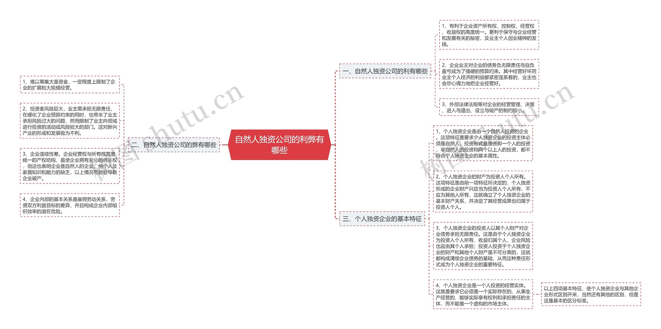 自然人独资公司的利弊有哪些思维导图