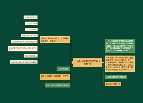 一人公司在制定章程时有什么特点？