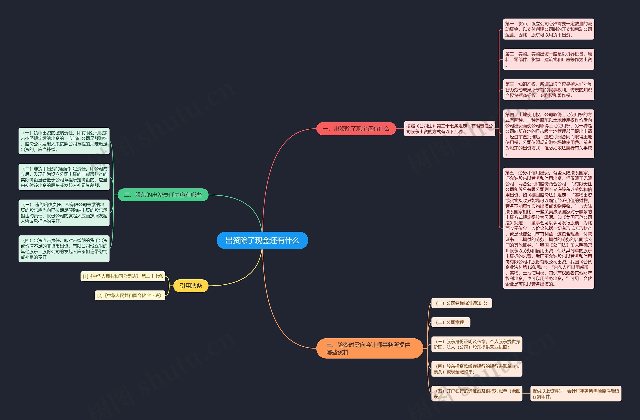 出资除了现金还有什么思维导图