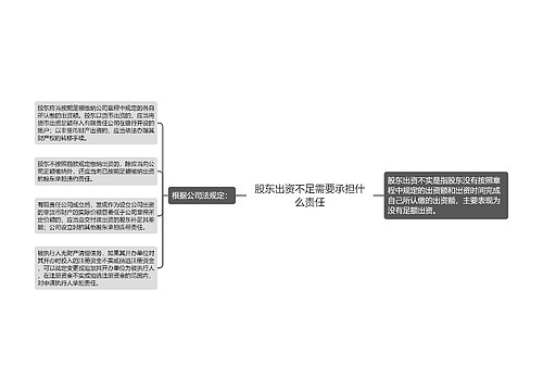 股东出资不足需要承担什么责任