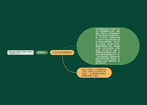 公司只承担有限责任