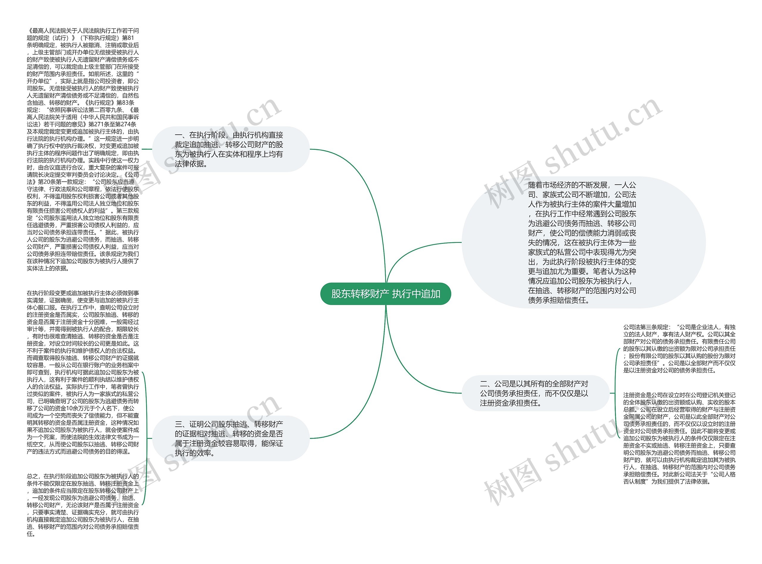 股东转移财产 执行中追加思维导图