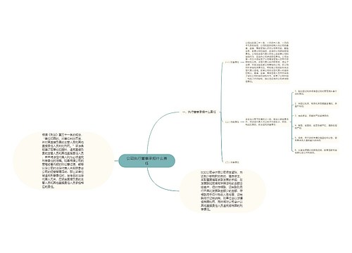 公司执行董事承担什么责任