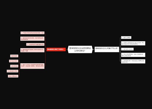 国有股股东应当承担哪些义务和责任？