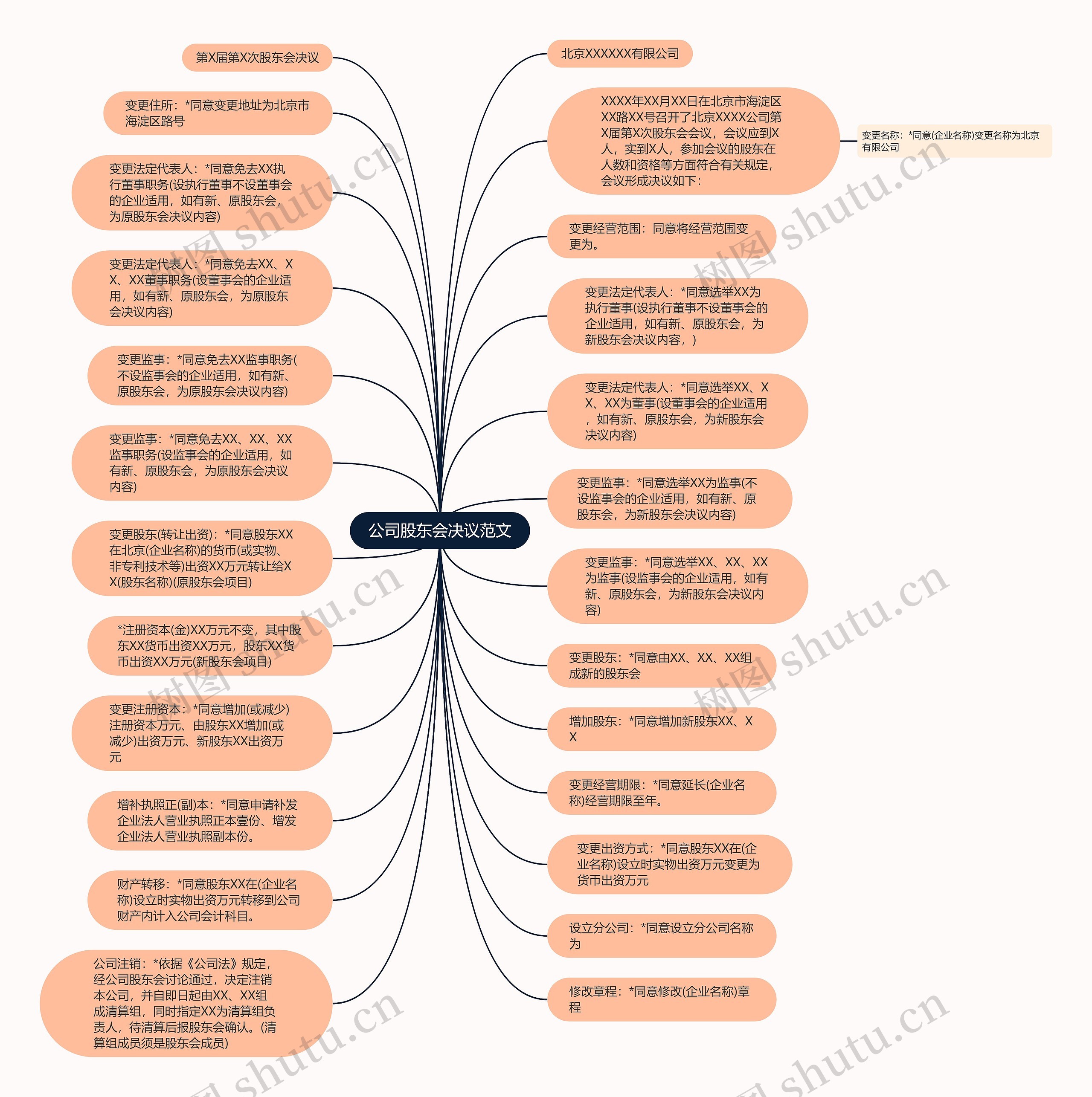 公司股东会决议范文思维导图