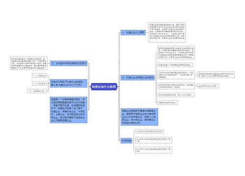 私营企业什么意思