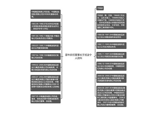 蒙牛新任董事长于旭波个人资料