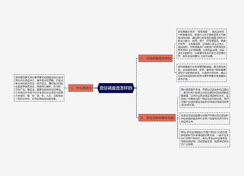 资信调查是怎样的