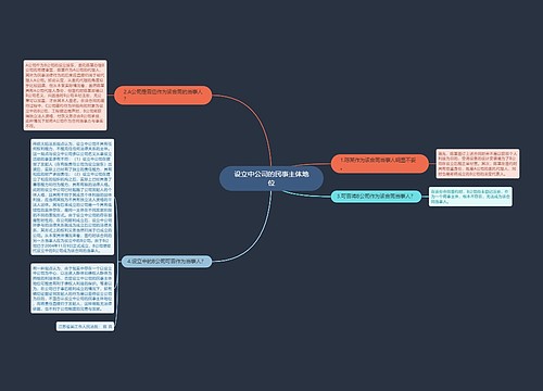 设立中公司的民事主体地位