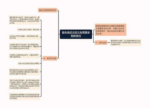 股东违反出资义务需要承担的责任