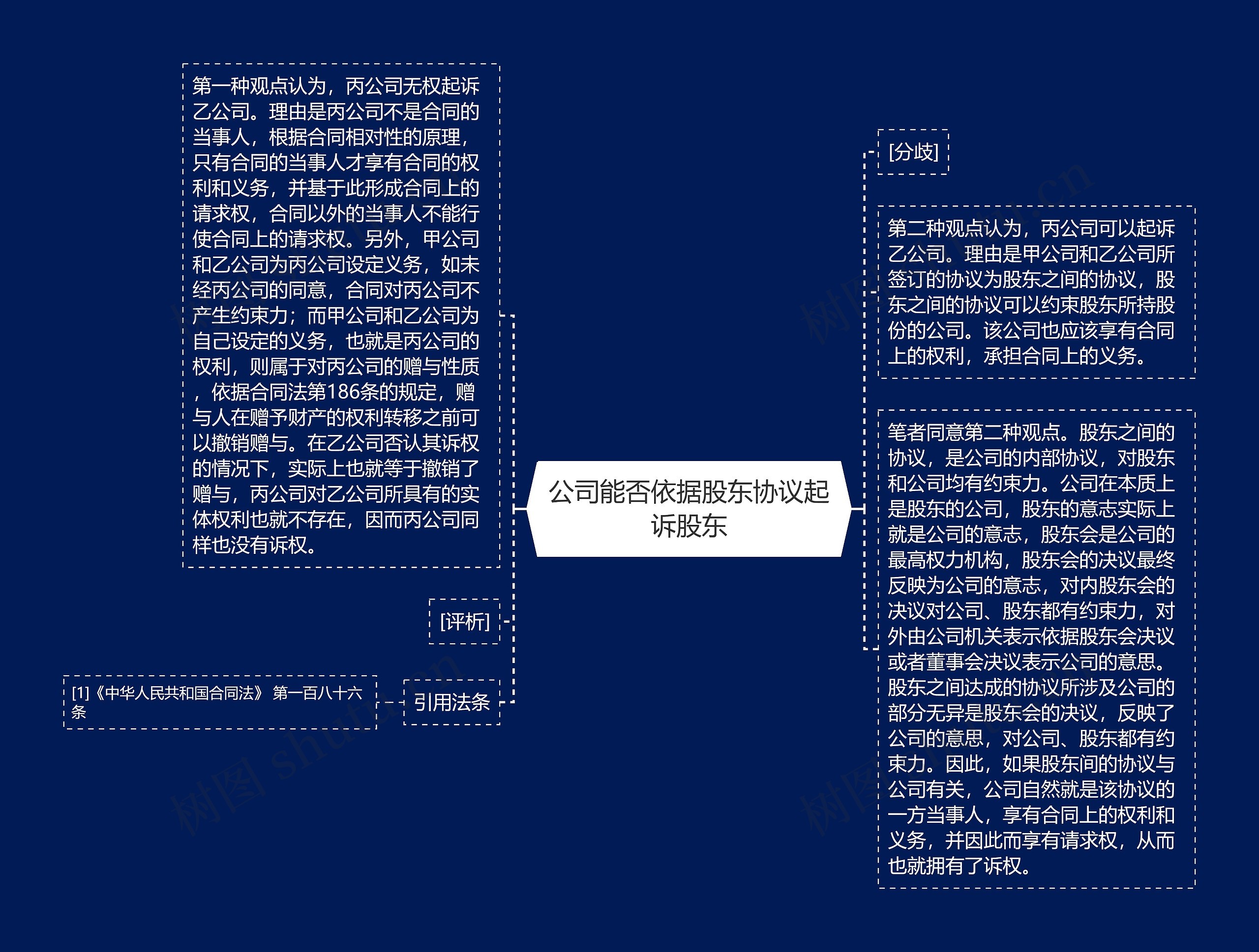 公司能否依据股东协议起诉股东思维导图