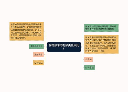 何谓股东的有限责任原则？