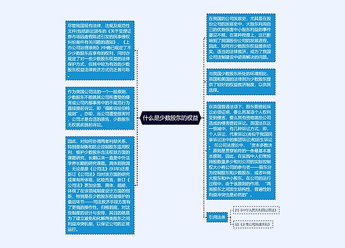 什么是少数股东的权益