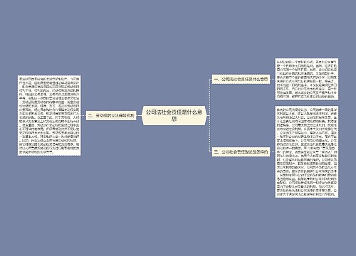 公司法社会责任是什么意思