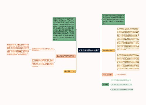 新设合并公司的债务承担