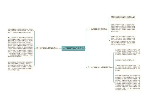 执行董事怎样行使权力