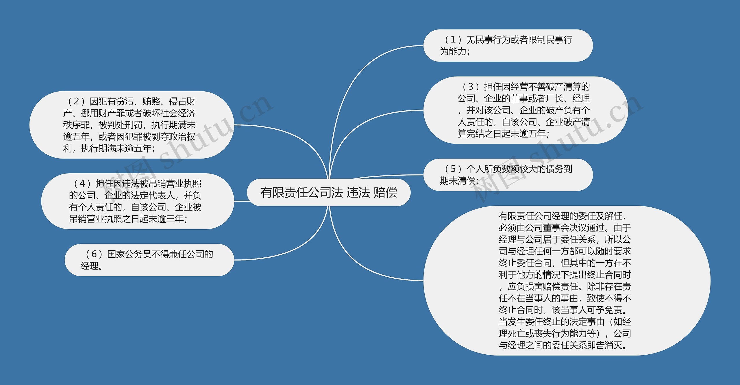 有限责任公司法 违法 赔偿思维导图