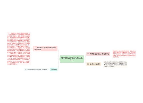 有限责任公司法人责任是什么