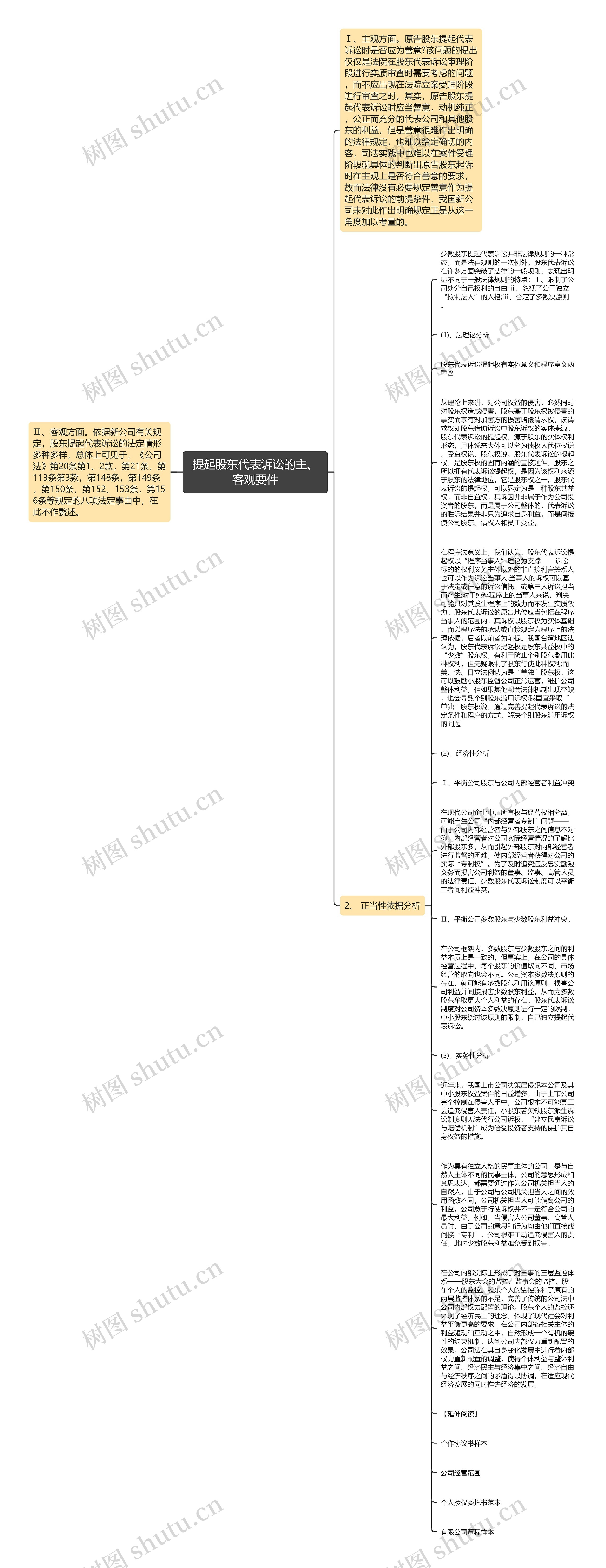 提起股东代表诉讼的主、客观要件思维导图