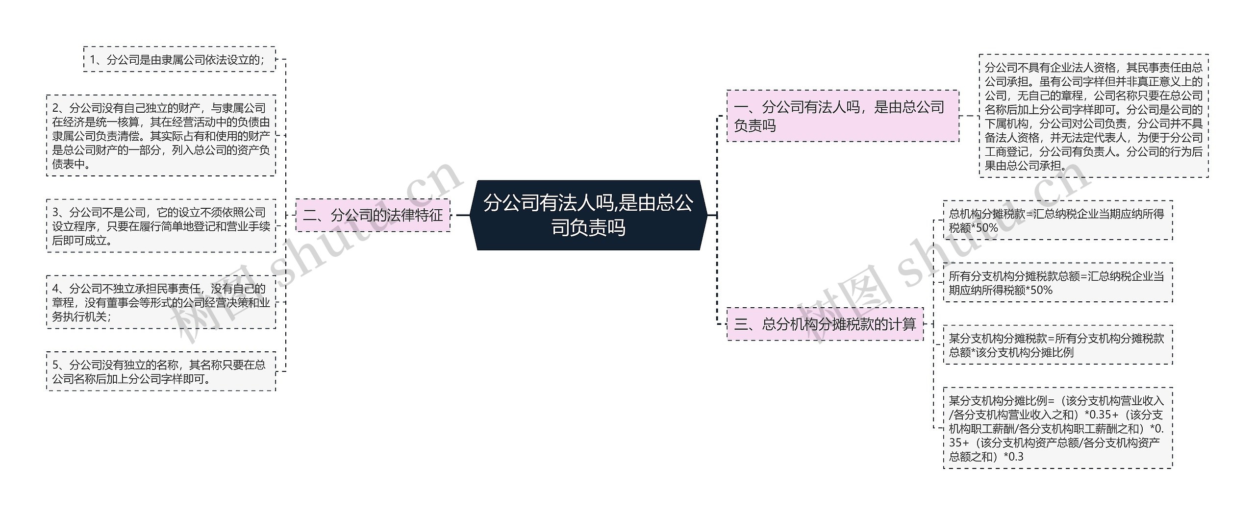 分公司有法人吗,是由总公司负责吗