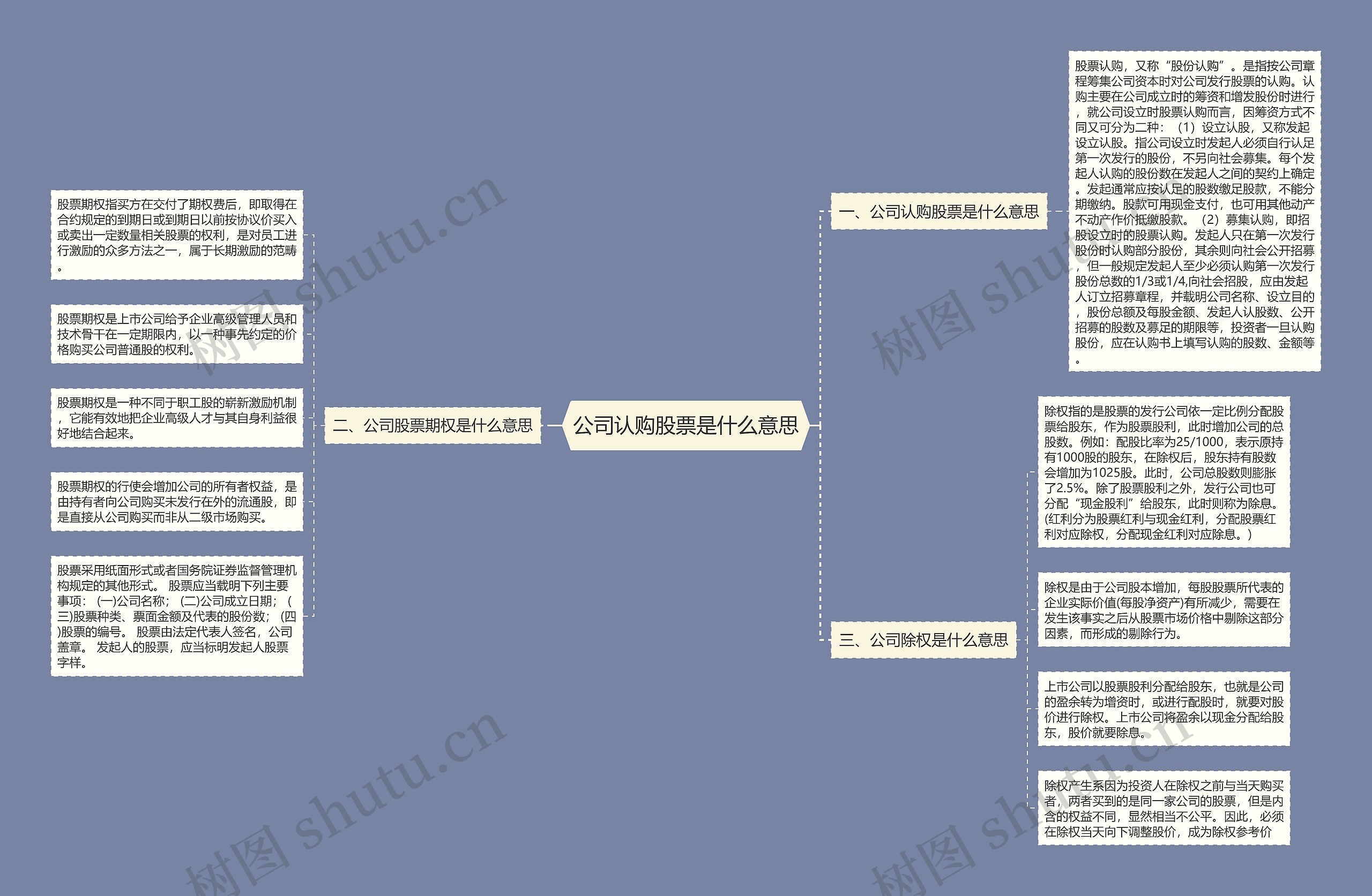 公司认购股票是什么意思思维导图