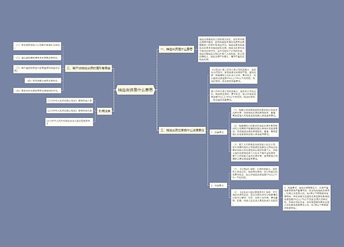 抽逃出资是什么意思