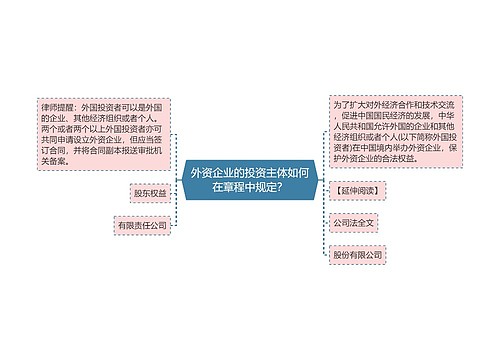 外资企业的投资主体如何在章程中规定？