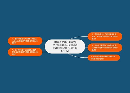 《公司设立登记申请书》中“股东的法人资格证明或者自然人身份证明”是指什么?