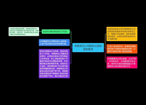 有限责任公司股东出资验资的要求