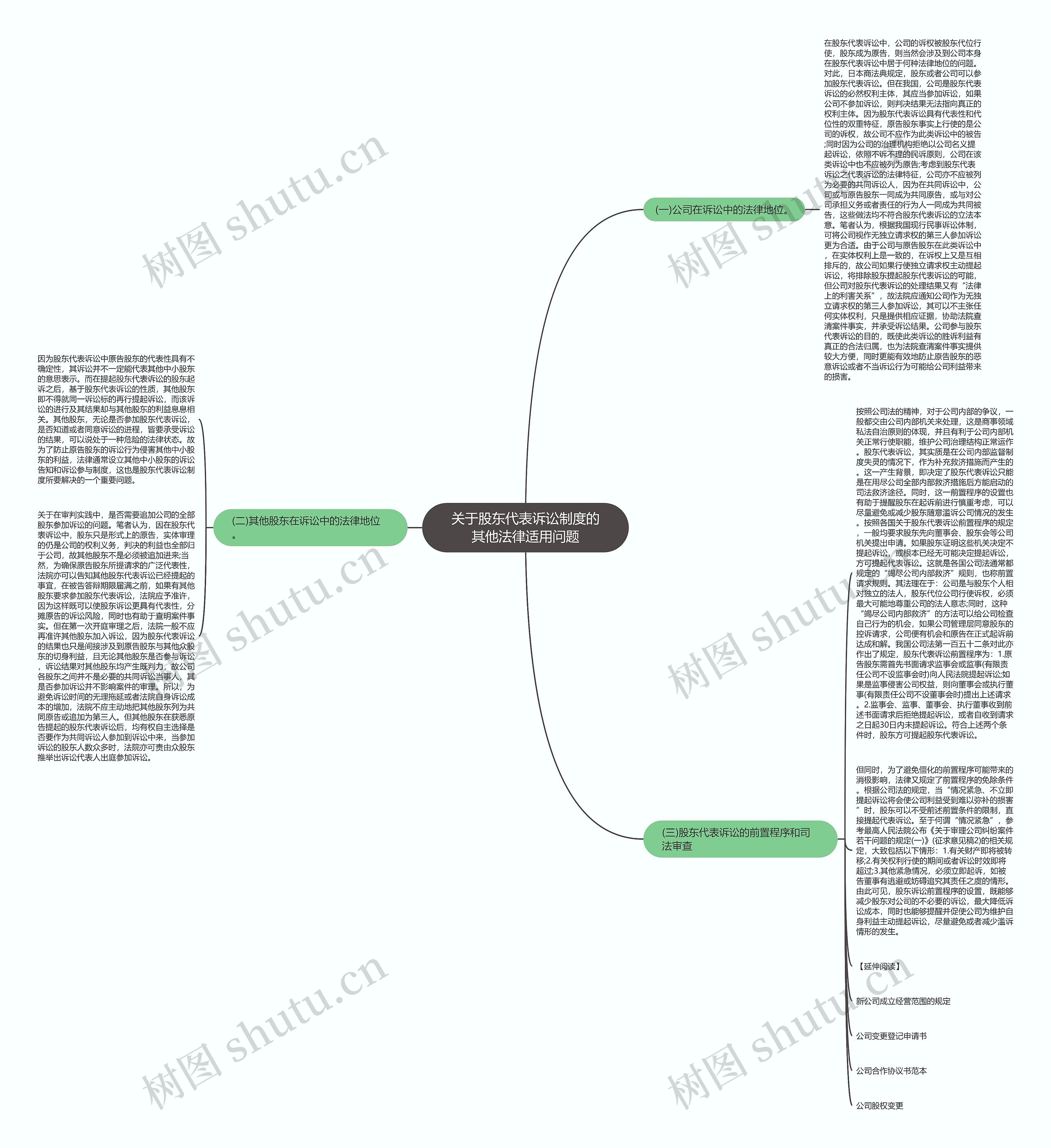 关于股东代表诉讼制度的其他法律适用问题思维导图