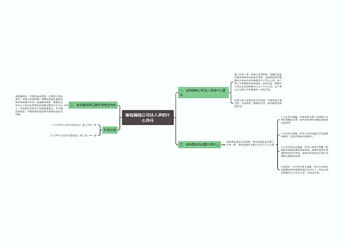 偷税漏税公司法人承担什么责任