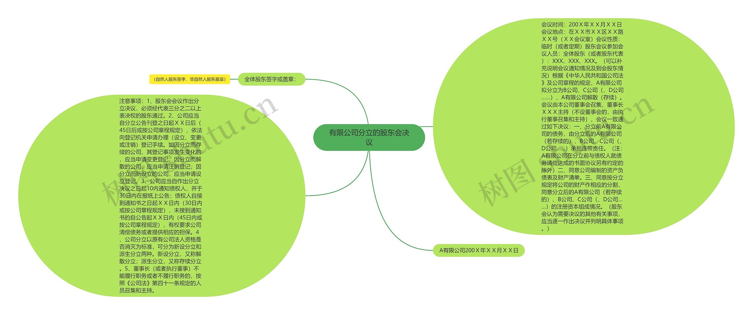 有限公司分立的股东会决议思维导图