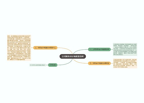 公司财务会计制度是怎样