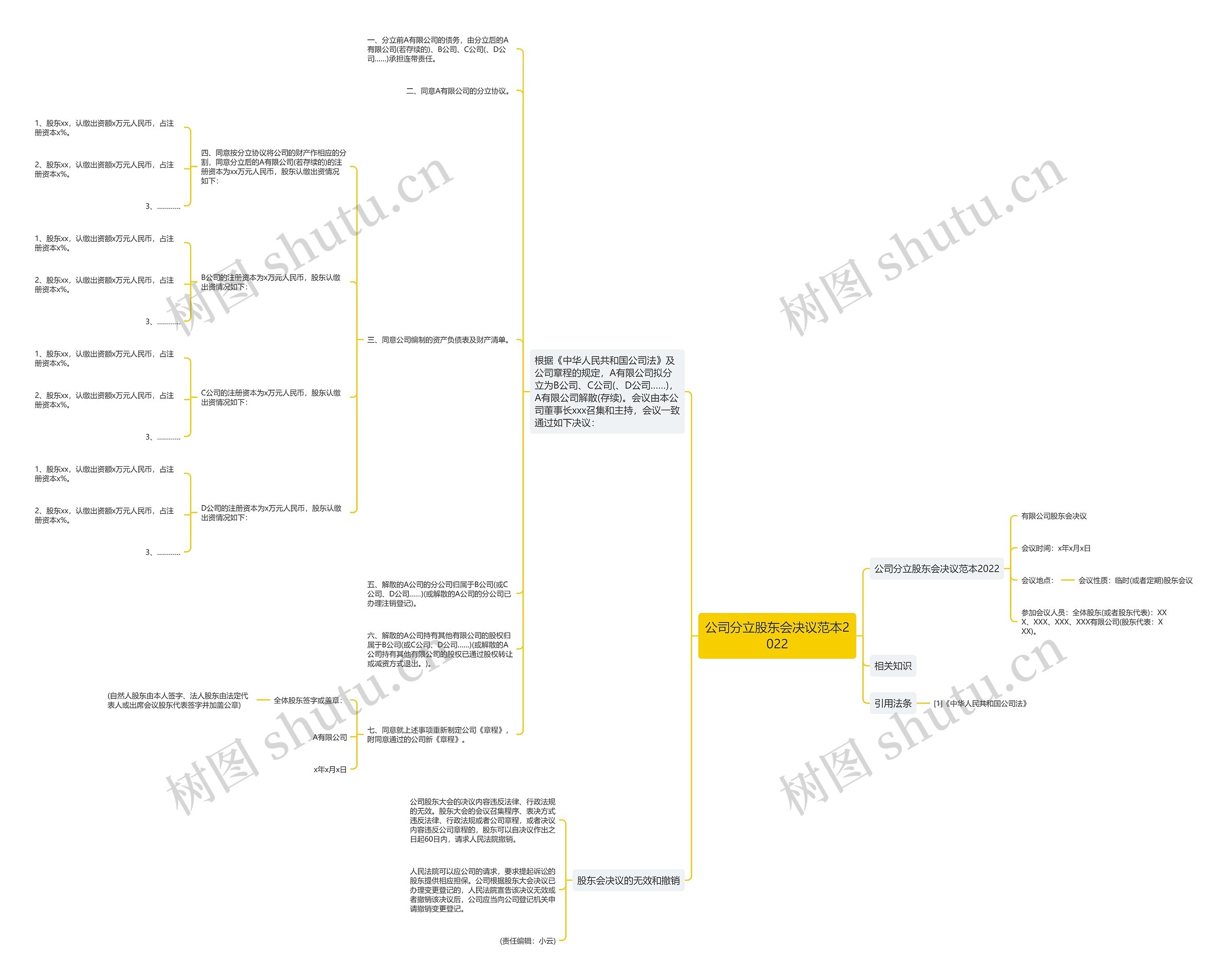 公司分立股东会决议范本2022思维导图