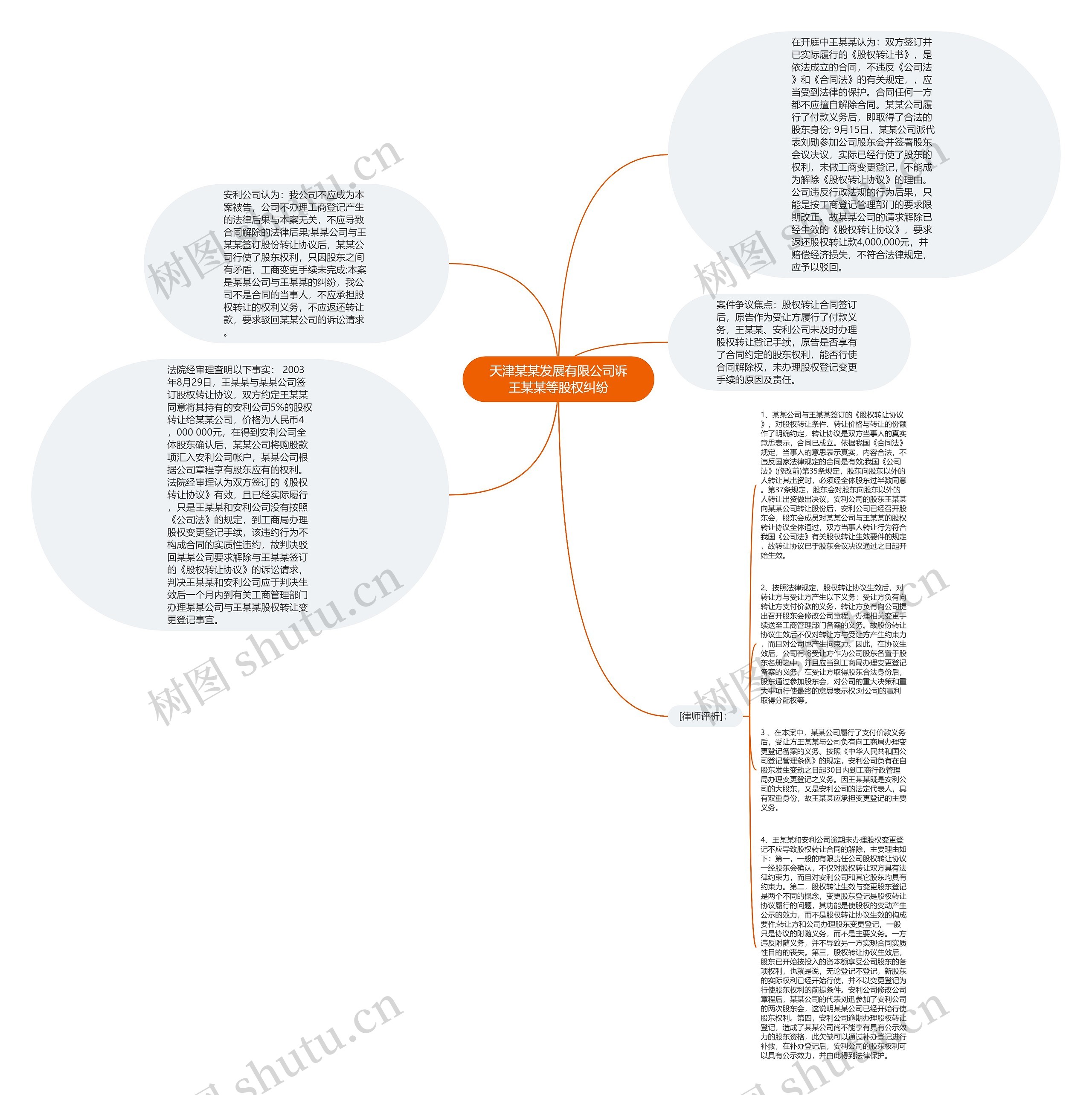 天津某某发展有限公司诉王某某等股权纠纷思维导图