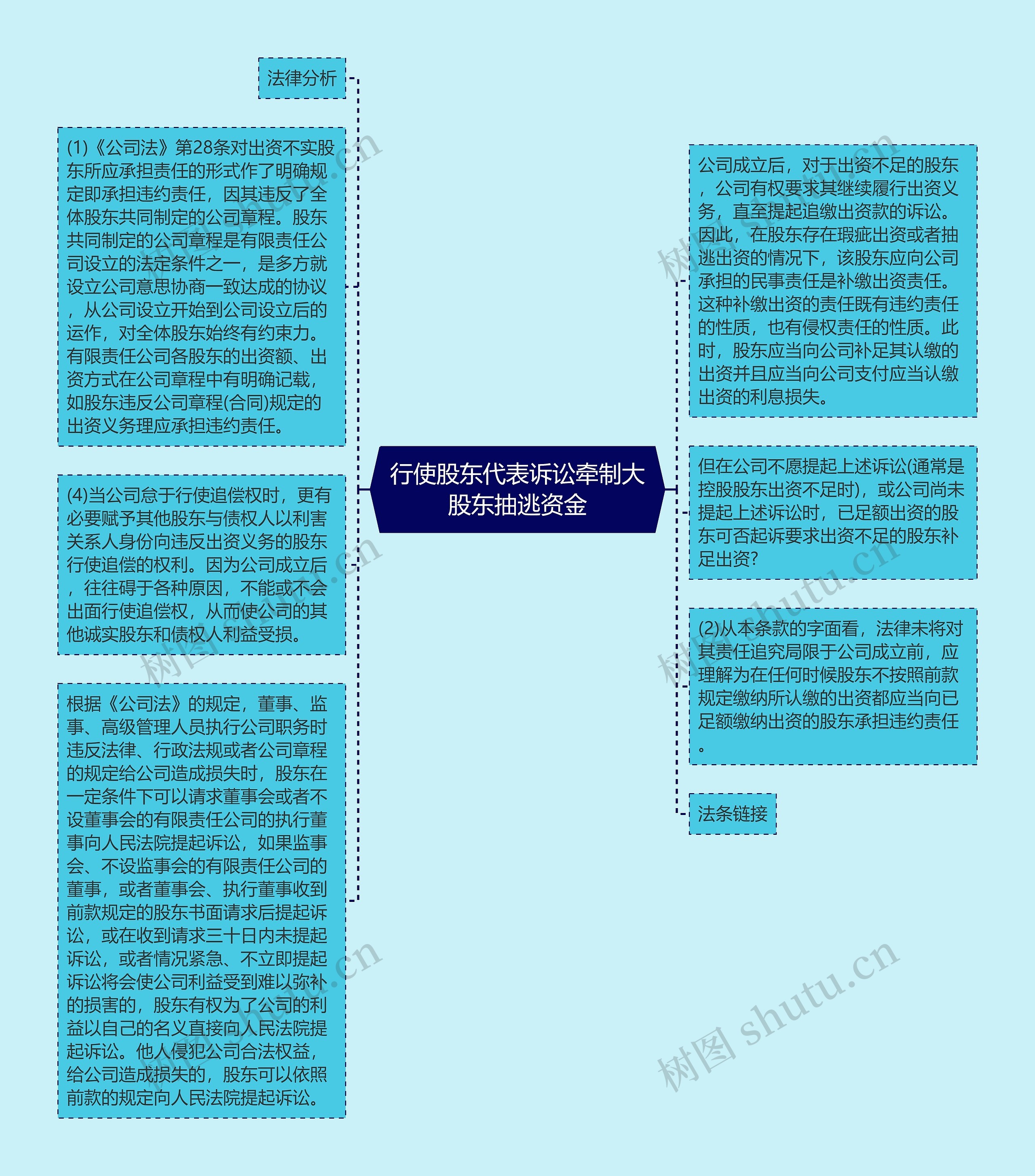 行使股东代表诉讼牵制大股东抽逃资金思维导图