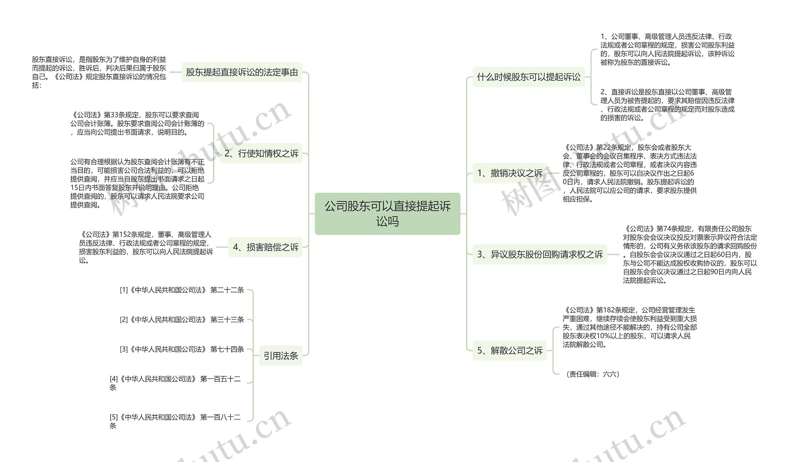 公司股东可以直接提起诉讼吗思维导图