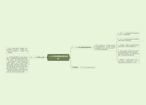 一人公司法律规定是怎样的