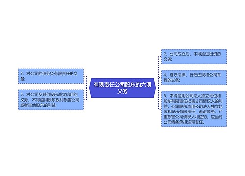 有限责任公司股东的六项义务