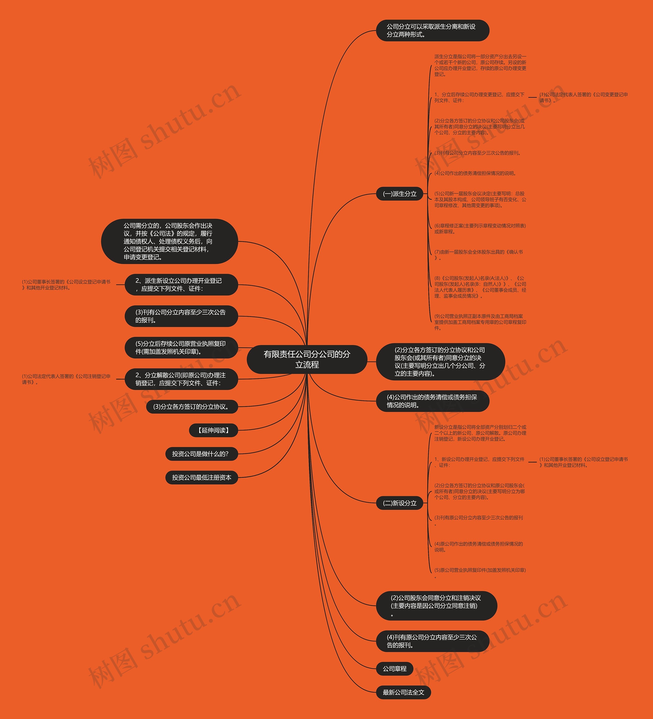 有限责任公司分公司的分立流程思维导图