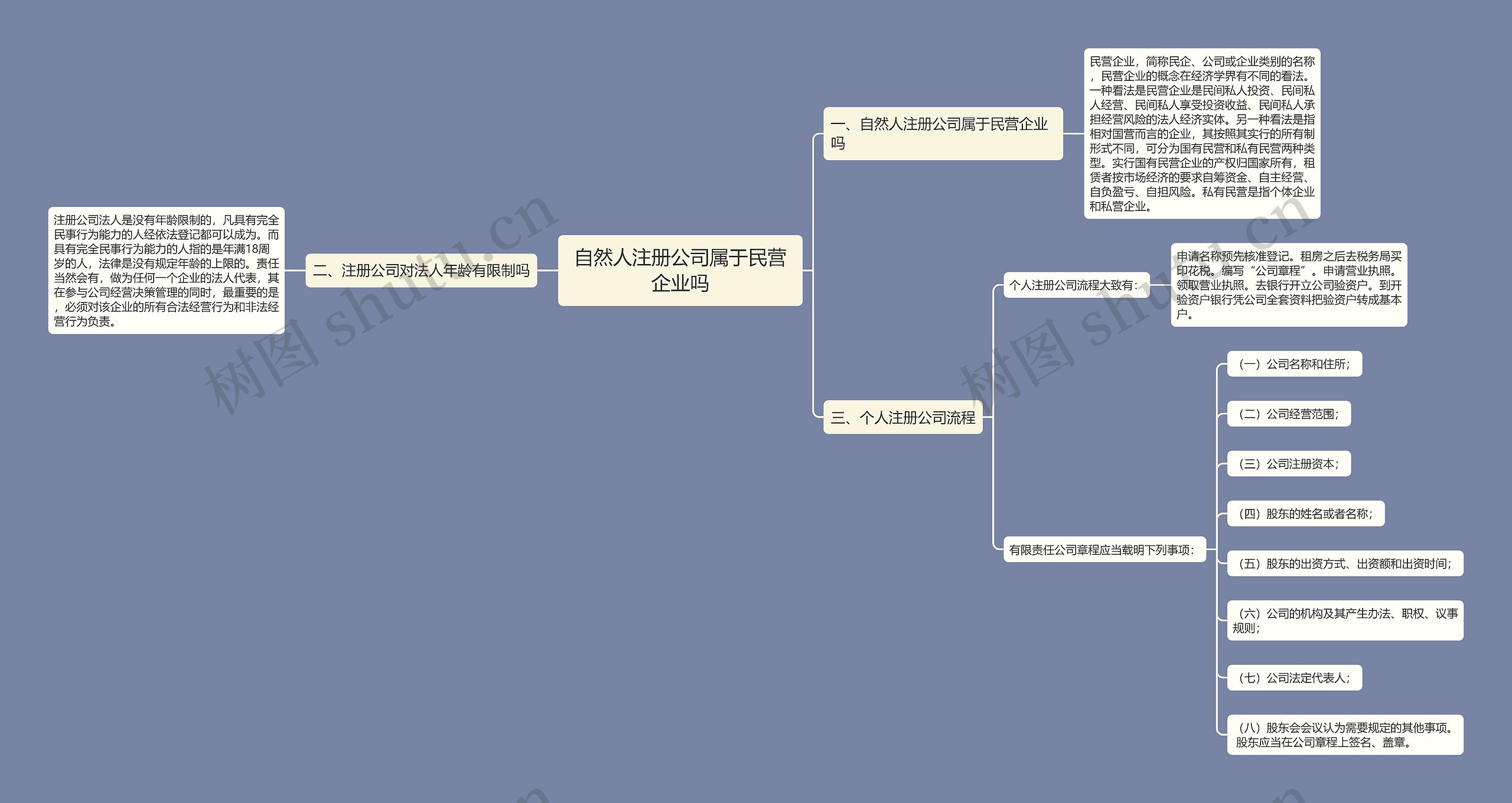 自然人注册公司属于民营企业吗