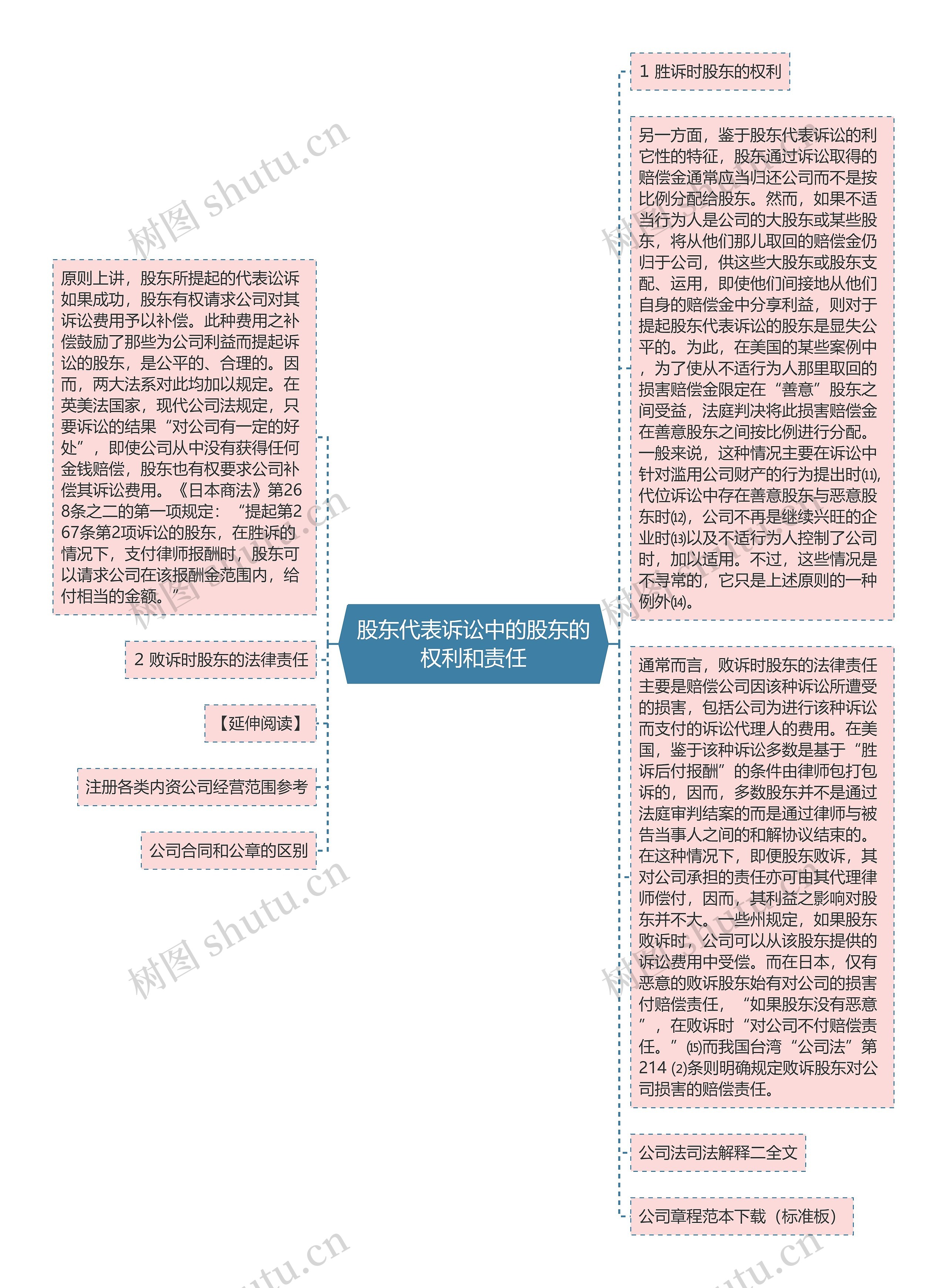 股东代表诉讼中的股东的权利和责任