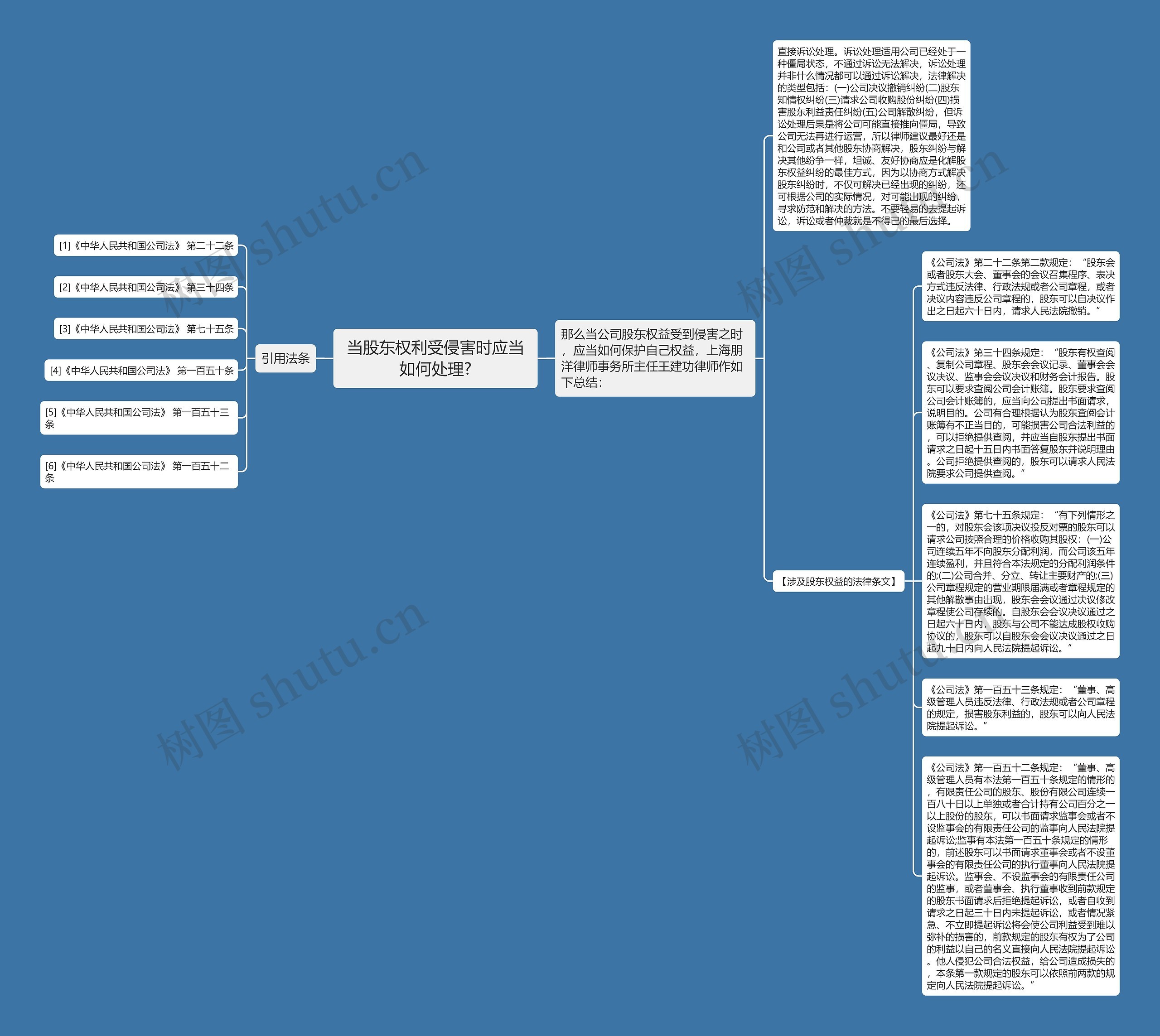 当股东权利受侵害时应当如何处理?思维导图