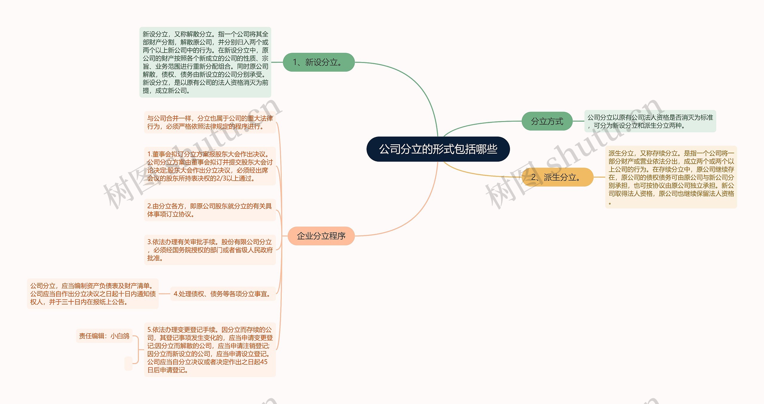 公司分立的形式包括哪些思维导图