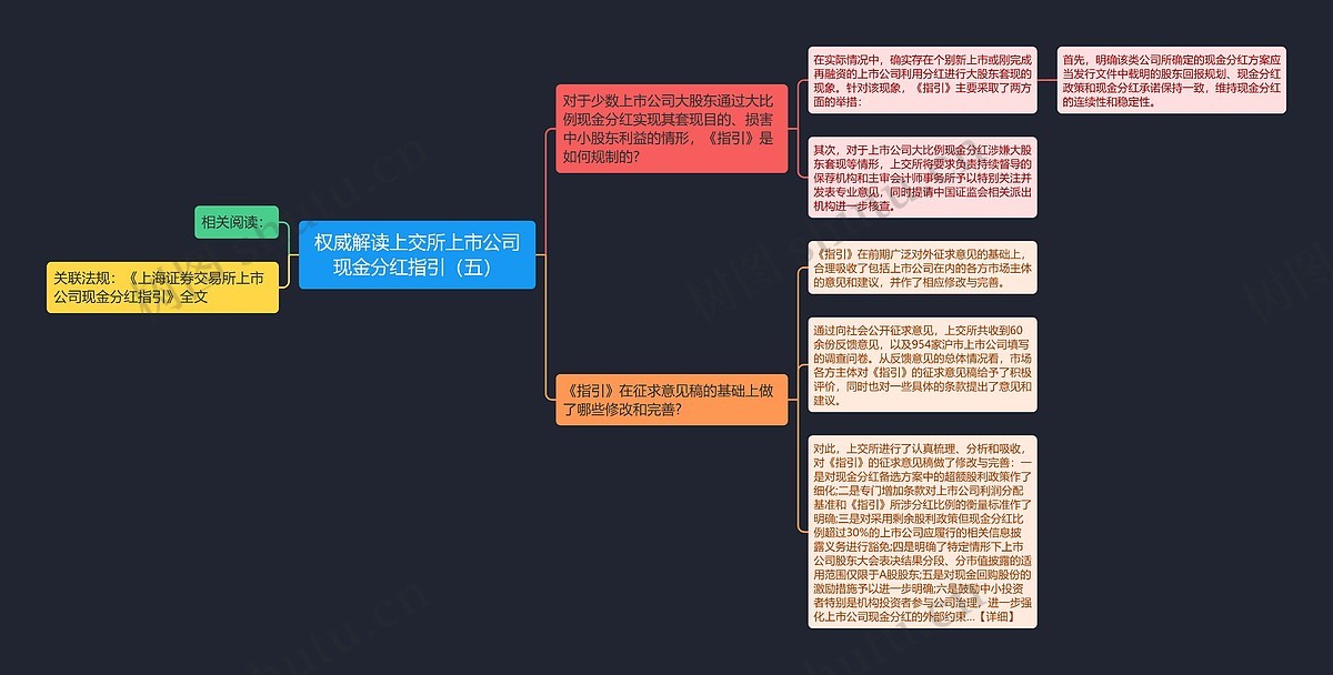 权威解读上交所上市公司现金分红指引(五)思维导图_编号p6564511-TreeMind树图