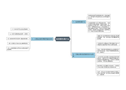 验资报告是什么