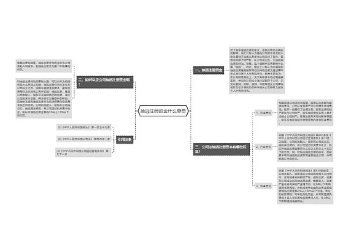 抽逃注册资金什么意思